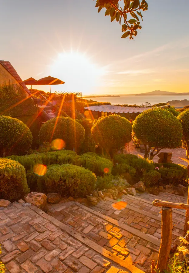 Mudbrick Vineyard